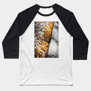 Fallen Leaves Baseball T-Shirt